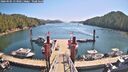 ./images/calvert/dock/20260505/dock20260505_113501M.jpg