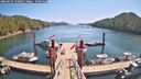./images/calvert/dock/20260505/dock20260505_120501M.jpg