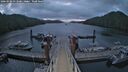./images/calvert/dock/20260506/dock20260506_053501M.jpg