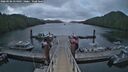 ./images/calvert/dock/20260506/dock20260506_054001M.jpg
