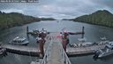 ./images/calvert/dock/20260506/dock20260506_055501M.jpg