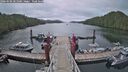 ./images/calvert/dock/20260506/dock20260506_061001M.jpg