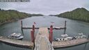 ./images/calvert/dock/20260506/dock20260506_085501M.jpg