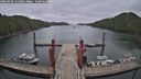 ./images/calvert/dock/20260506/dock20260506_112501M.jpg