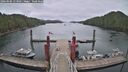 ./images/calvert/dock/20260506/dock20260506_113501M.jpg