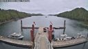 ./images/calvert/dock/20260506/dock20260506_120001M.jpg