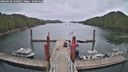 ./images/calvert/dock/20260506/dock20260506_120501M.jpg