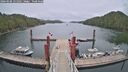 ./images/calvert/dock/20260506/dock20260506_131501M.jpg