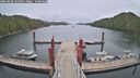 ./images/calvert/dock/20260506/dock20260506_134501M.jpg