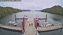 ./images/calvert/dock/20260506/dock20260506_145001M.jpg