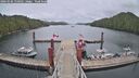 ./images/calvert/dock/20260506/dock20260506_150501M.jpg