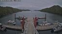 ./images/calvert/dock/20260506/dock20260506_195001M.jpg