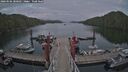 ./images/calvert/dock/20260506/dock20260506_200502M.jpg