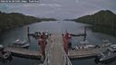 ./images/calvert/dock/20260506/dock20260506_201001M.jpg