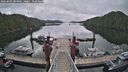 ./images/calvert/dock/20260507/dock20260507_084501M.jpg