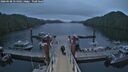 ./images/calvert/dock/20260508/dock20260508_054001M.jpg