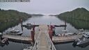 ./images/calvert/dock/20260508/dock20260508_064001M.jpg