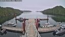 ./images/calvert/dock/20260508/dock20260508_074001M.jpg