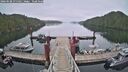 ./images/calvert/dock/20260508/dock20260508_075501M.jpg