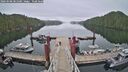 ./images/calvert/dock/20260508/dock20260508_081501M.jpg