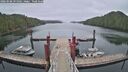 ./images/calvert/dock/20260508/dock20260508_095001M.jpg