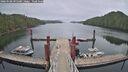 ./images/calvert/dock/20260508/dock20260508_095501M.jpg