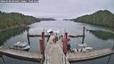 ./images/calvert/dock/20260508/dock20260508_105001M.jpg
