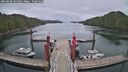 ./images/calvert/dock/20260508/dock20260508_121501M.jpg