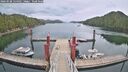 ./images/calvert/dock/20260508/dock20260508_134502M.jpg