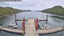 ./images/calvert/dock/20260508/dock20260508_141001M.jpg