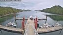 ./images/calvert/dock/20260508/dock20260508_144001M.jpg