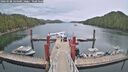 ./images/calvert/dock/20260508/dock20260508_144501M.jpg