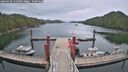 ./images/calvert/dock/20260508/dock20260508_150501M.jpg