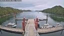./images/calvert/dock/20260508/dock20260508_151501M.jpg