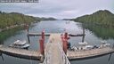 ./images/calvert/dock/20260508/dock20260508_152001M.jpg