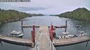 ./images/calvert/dock/20260508/dock20260508_161001M.jpg
