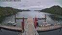 ./images/calvert/dock/20260508/dock20260508_163502M.jpg