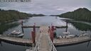 ./images/calvert/dock/20260508/dock20260508_165501M.jpg