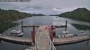 ./images/calvert/dock/20260508/dock20260508_170501M.jpg