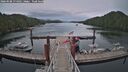 ./images/calvert/dock/20260508/dock20260508_174502M.jpg