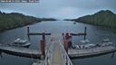 ./images/calvert/dock/20260508/dock20260508_211002M.jpg