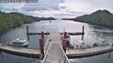 ./images/calvert/dock/20260509/dock20260509_093501M.jpg