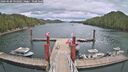 ./images/calvert/dock/20260509/dock20260509_142001M.jpg