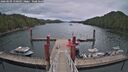 ./images/calvert/dock/20260509/dock20260509_150502M.jpg