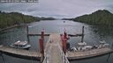 ./images/calvert/dock/20260509/dock20260509_151001M.jpg