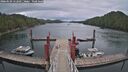 ./images/calvert/dock/20260509/dock20260509_152501M.jpg