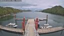 ./images/calvert/dock/20260509/dock20260509_154501M.jpg