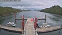 ./images/calvert/dock/20260509/dock20260509_155001M.jpg