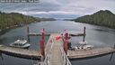 ./images/calvert/dock/20260509/dock20260509_170001M.jpg