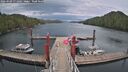 ./images/calvert/dock/20260509/dock20260509_171001M.jpg